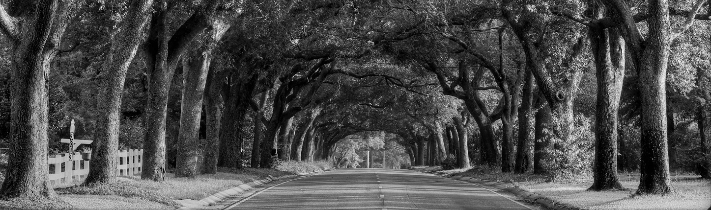 Royal Sonesta Oyster Bar 2 117-X3_BW